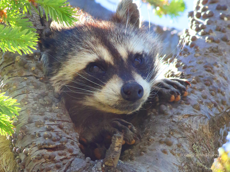 west shore photo of the week