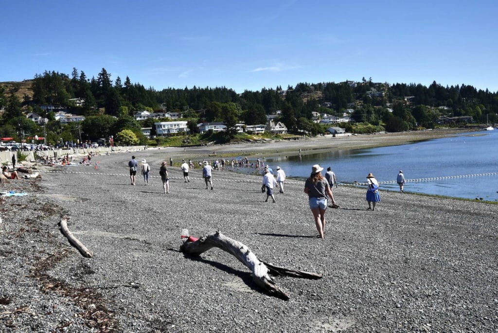 The Discourse readers were invited to walk along the shores of Stiil'nep Departure Bay to consider what it was like before contact with settlers.