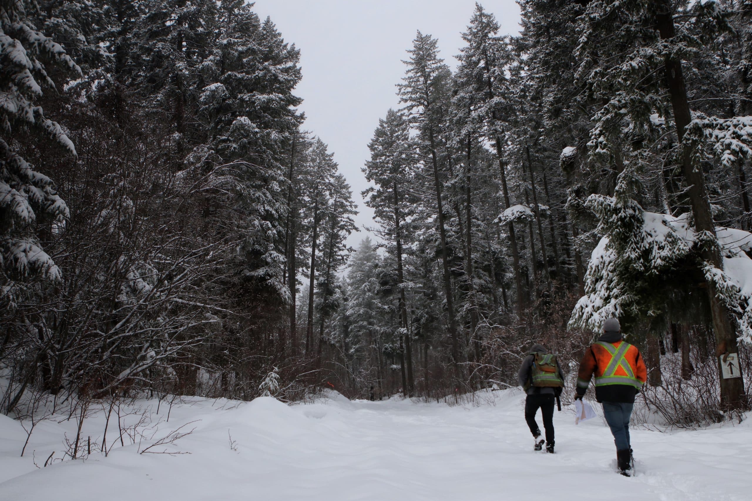 Ntityix Resources LP technicians Steve Tostenson and Coulter Roberts enter an area of the Westbank First Nation Community Forest near the upper Glenrosa neighbourhood in West Kelowna on Jan. 20, 2022.