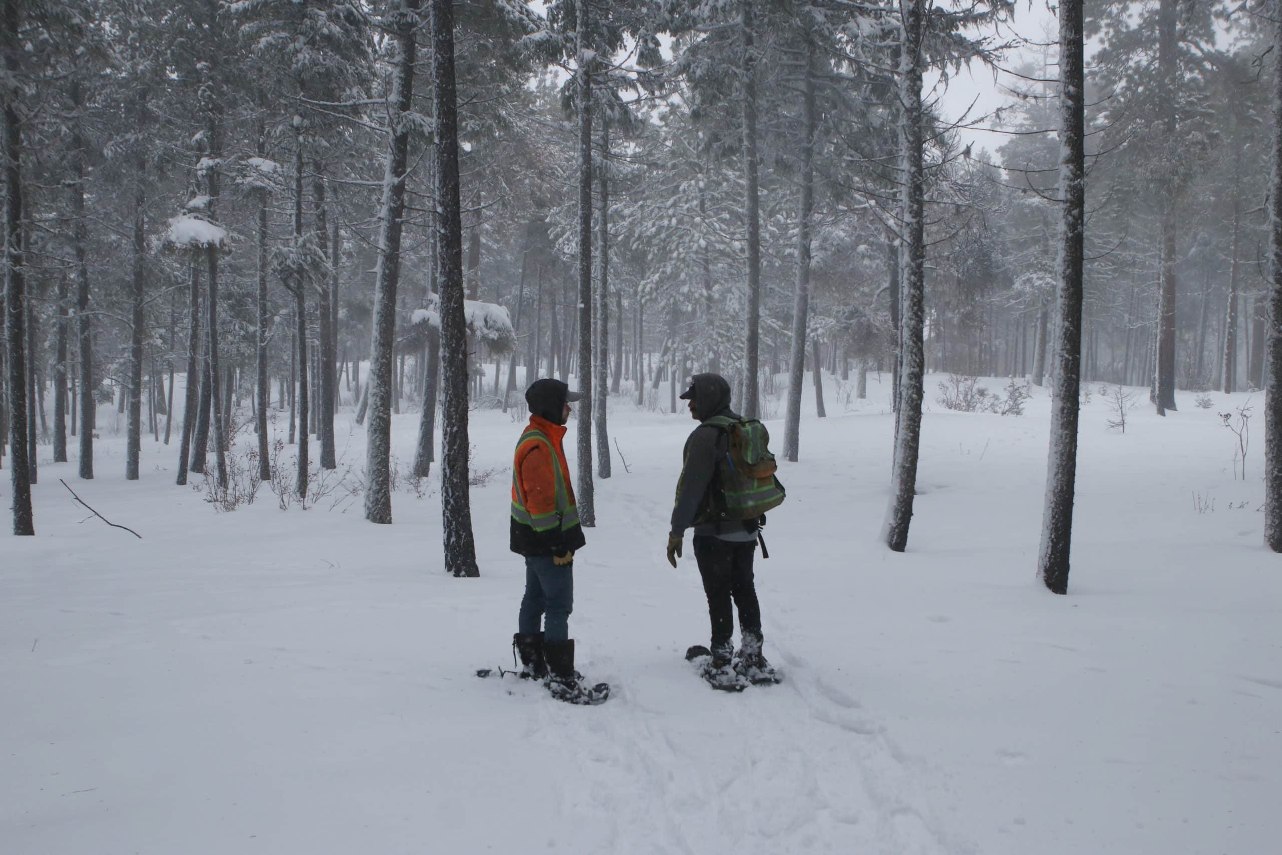 Coulter Roberts (left), a stewardship and development technician at Ntityix Resources LP (NRLP), walks with NRLP development technician Steve Tostenson through an area of the Westbank First Nation Community Forest near the upper Glenrosa neighbourhood in West Kelowna on Jan. 20, 2022.