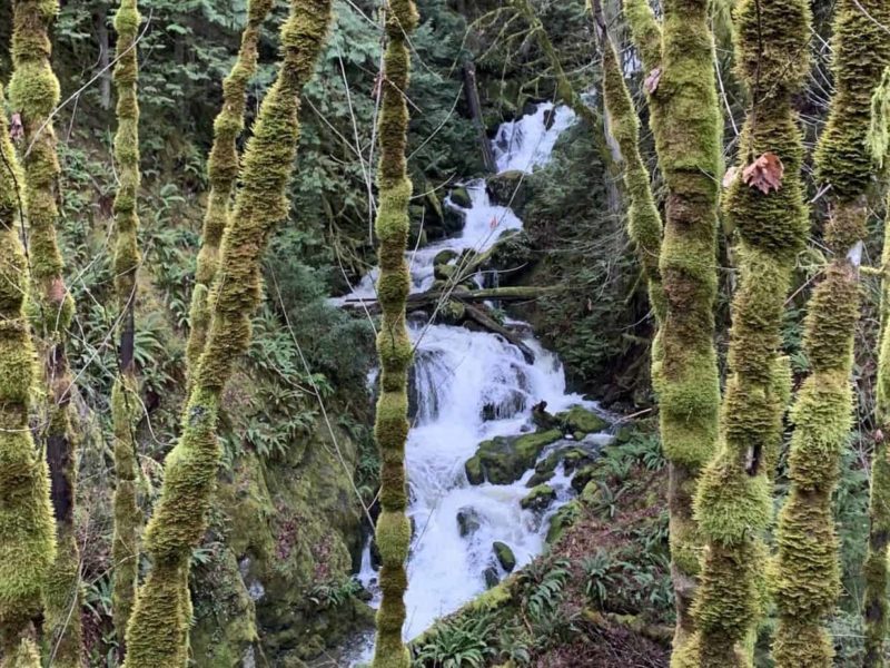 waterfall