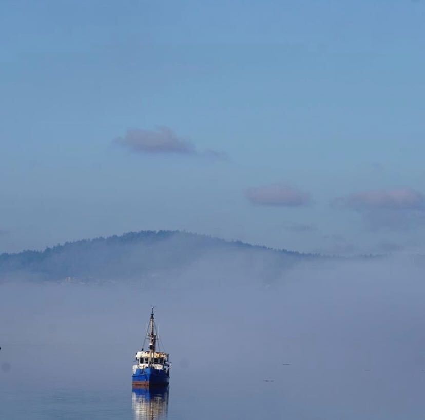 photo of the week