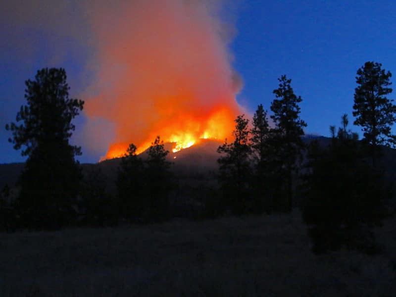 Skaha Creek wildfire in syilx territory on Penticton Indian Band land