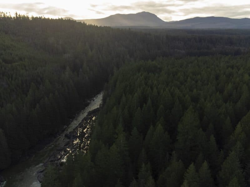 Distant forested mountains and clouds above a river that cuts through a forest