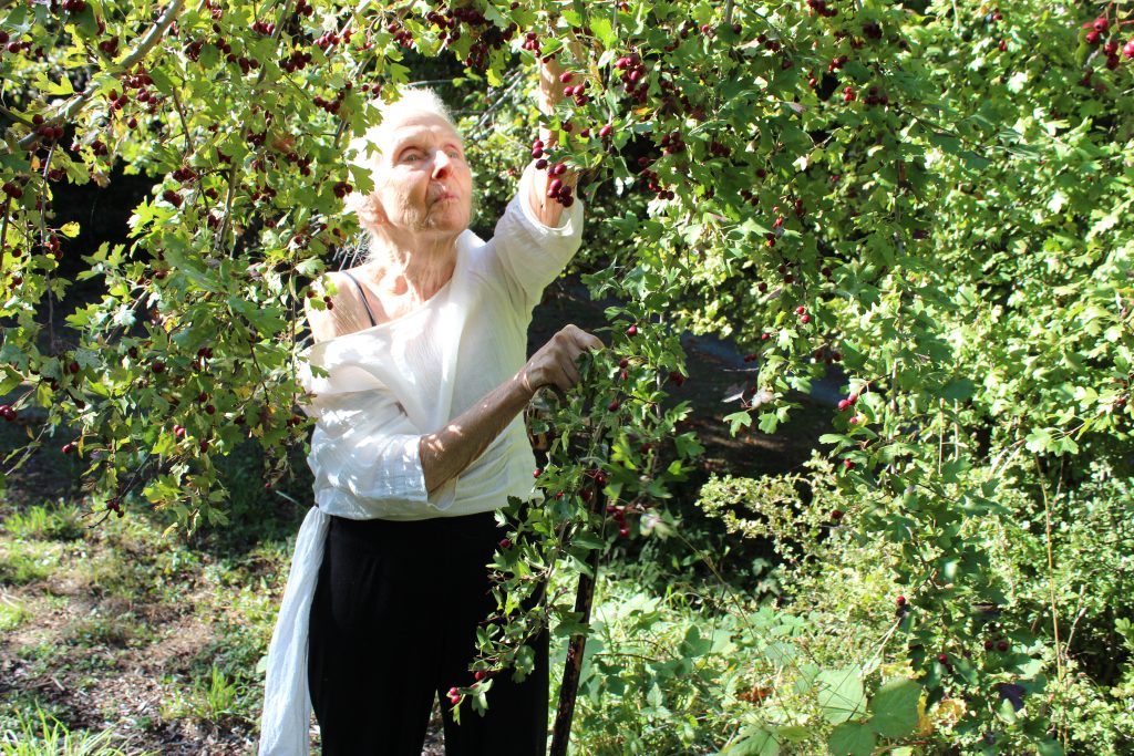 Bernice Woollam stands amongst the low-hanging branches of a hawthorn tree, with one arm reached up into the branches.